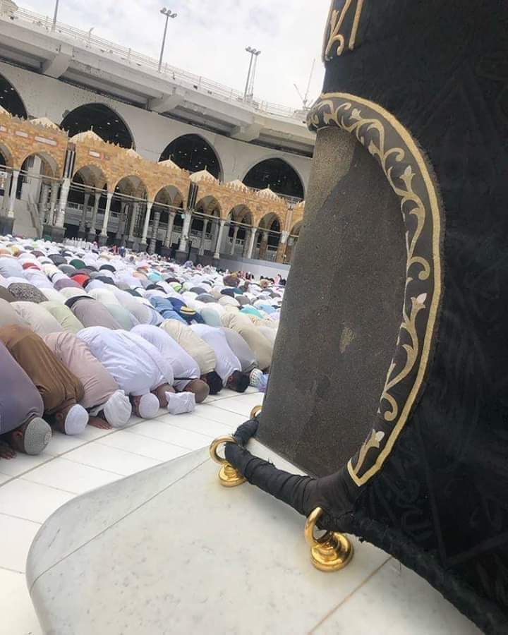 النفسية تحتاج سجده في الحرم بدعاء لا ينقطع اللهم اكتبها لي أنا وكل من كتب امين ♥️
