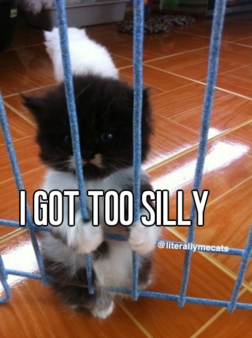 literallymecats's tweet photo. https://t.co/pzelgzxtIz
