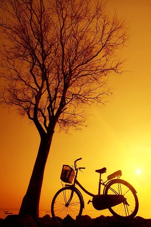 Good evening friends!
#photos #photography #evening #sunset