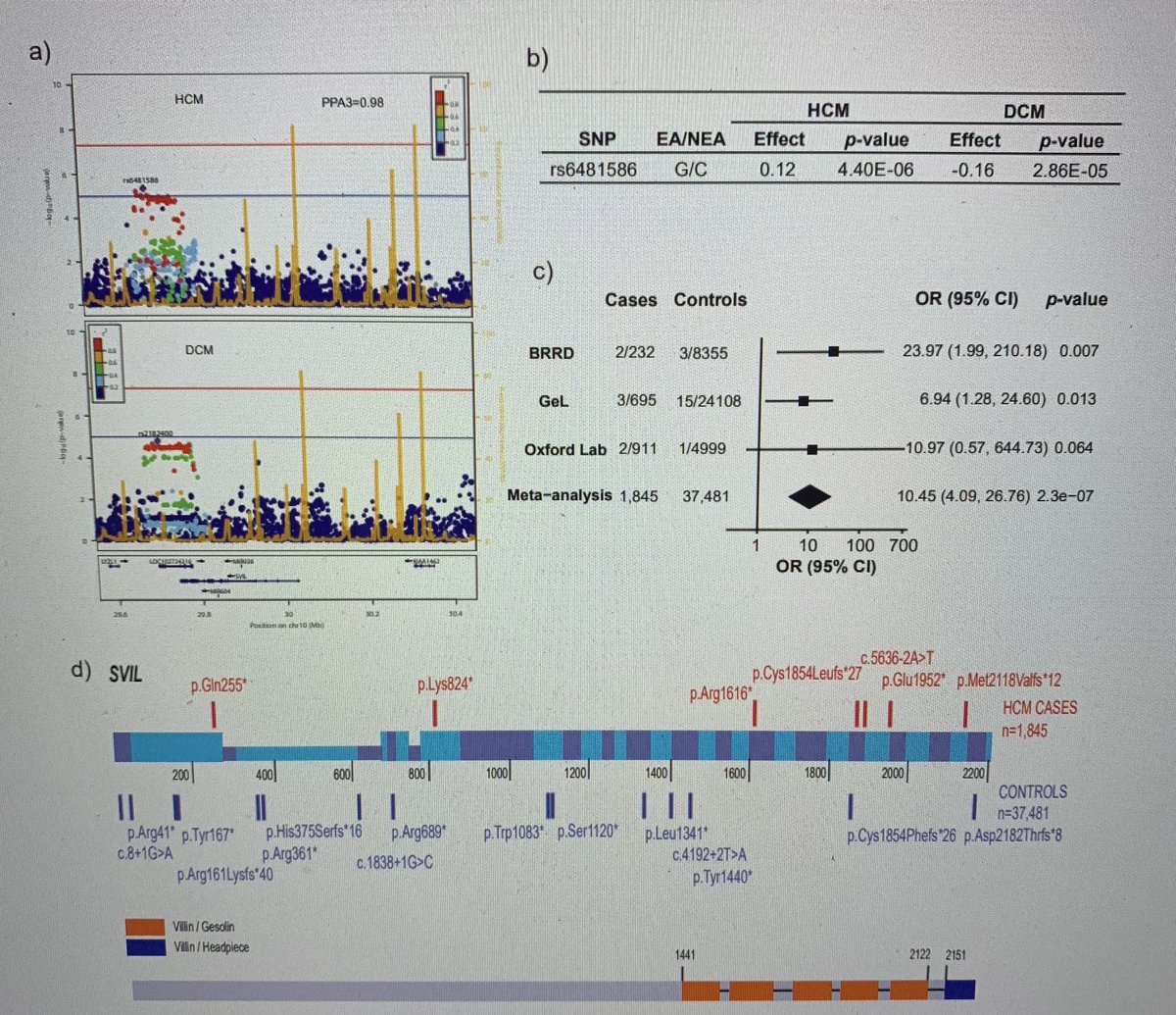 You gotta love a #gene almost called 'supervillain' 🧬
In this great work led by @rafik_tadros,
they identified SVIL rare tv as a novel #HCM gene. 
Take a look! 🧐 lots of other cool stuff in the paper.
@seccCFyGenetCV @CardiopatiasH 
#cardiogen