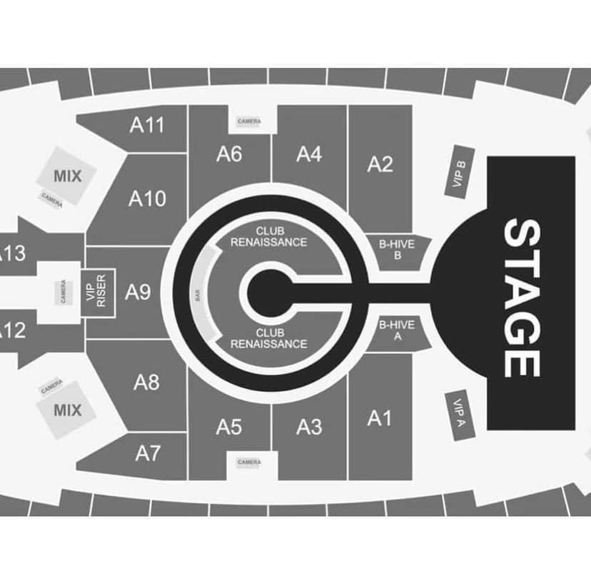 RENAISSANCE WORLD TOUR on Twitter "There appears to be 100 fans in