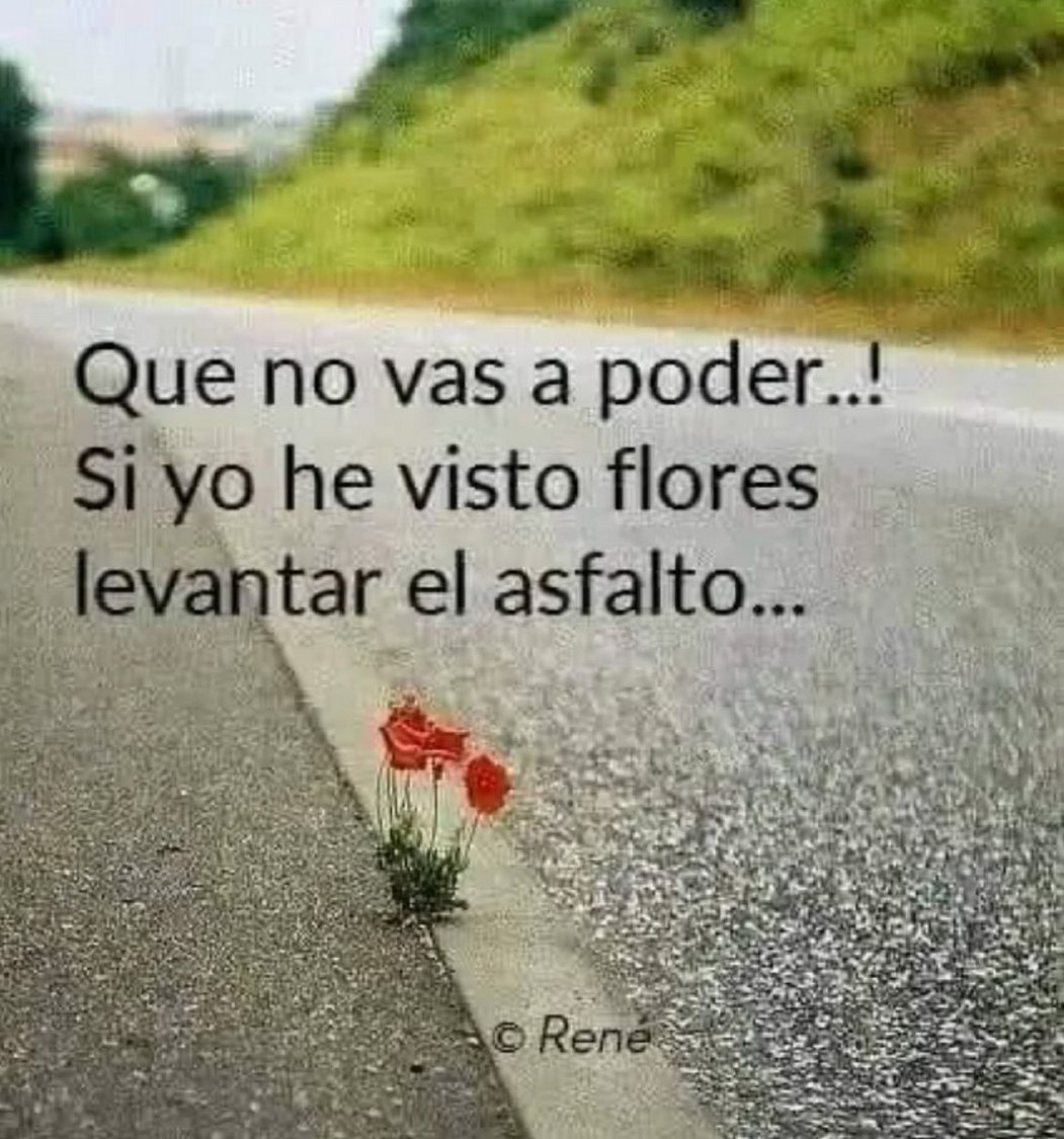 tranlanguage's tweet photo. A little push...
#tranlanguage #translationservices #certifiedtranslations #translationservicesmiami #translationcompany #translationagency #translationsmiami #uscis #uscistranslations https://t.co/xcA0ETa7bJ