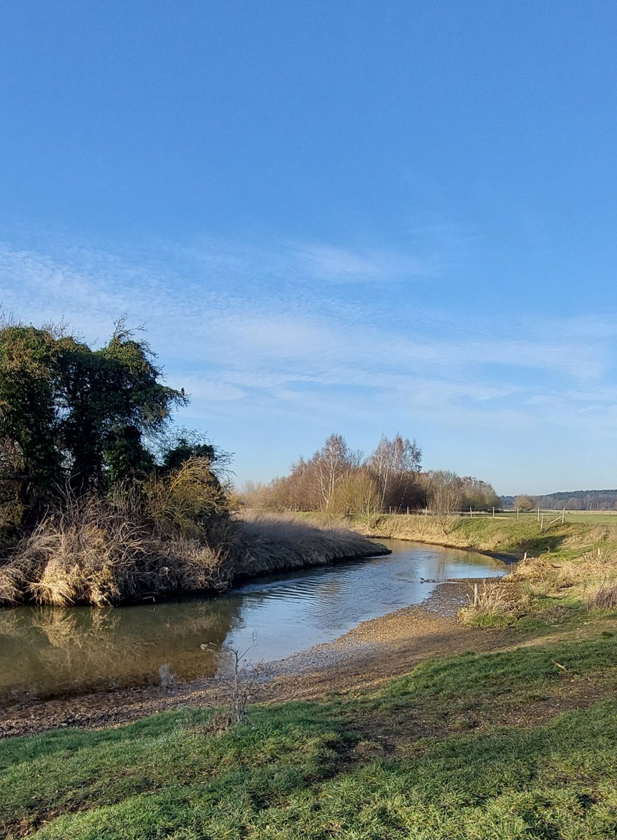 mycathardy's tweet photo. The River Ivel, tributary of the river Great Ouse, flowing through Biggleswade today.
#Rivers #Bedfordshire #Ivel https://t.co/IL80xlR3wb