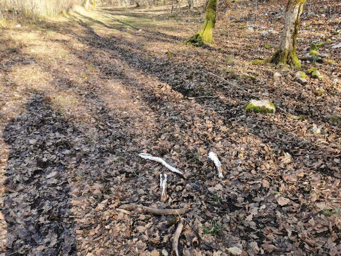 pjon21's tweet photo. Quelques photos de ce phénomène prise à coter.
https://t.co/mu9PWchBhO https://t.co/AAMx7KxdYG