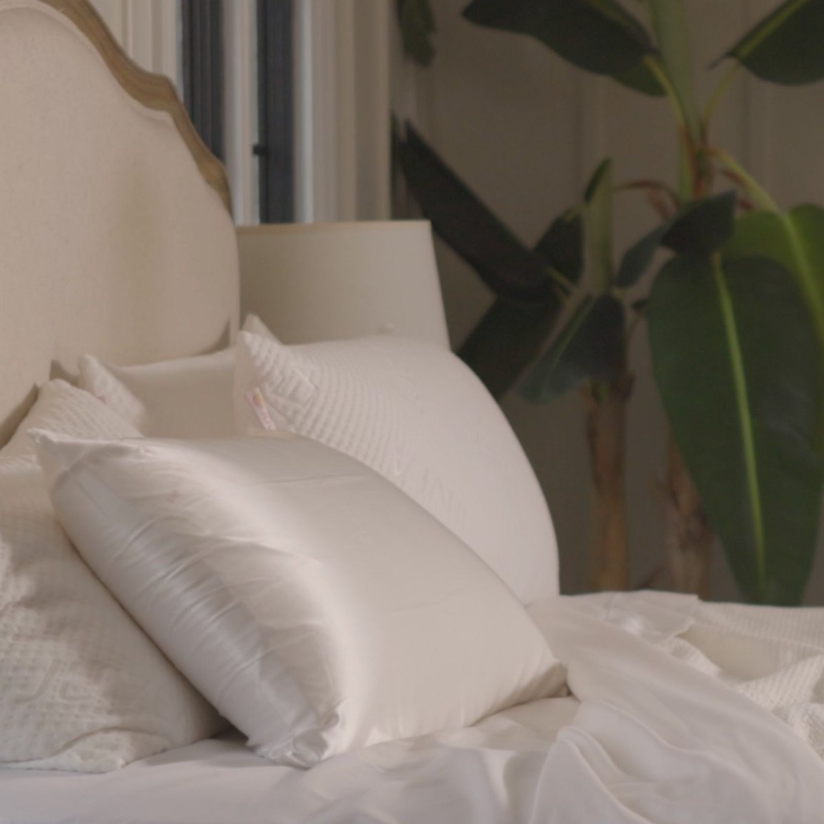 JUVEA's tweet image. ✨Introducing JUVEA Premium✨ Indulge in maximum comfort with the world's finest all-natural materials for truly restorative sleep🌿 

Shop JUVEA Premium pillows ~ ow.ly/plVx50MMi5j

#JUVEApremium #investinrest #Talalaylatex #Mulberrysilk