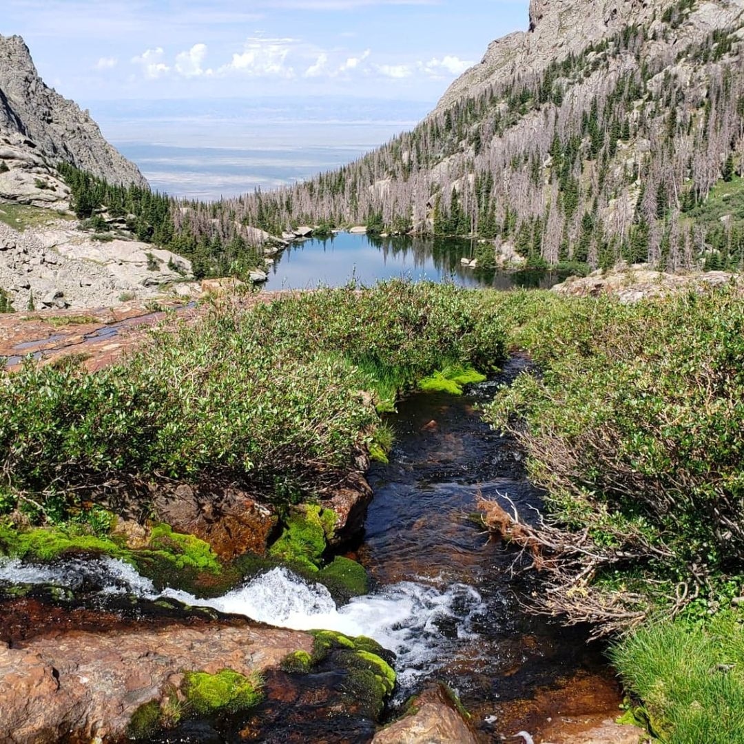 TheNextSummitA1's tweet photo. This creek tumbles down into Willow Lake as a sliver of a waterfall, just below Challenger Point and Kit Carson Peak.
This is and always will be my favorite alpine lake in Colorado - definitely worth a visit or two.
#willowlake #14ers #colorado #alpine #lake https://t.co/saI04wwHpm