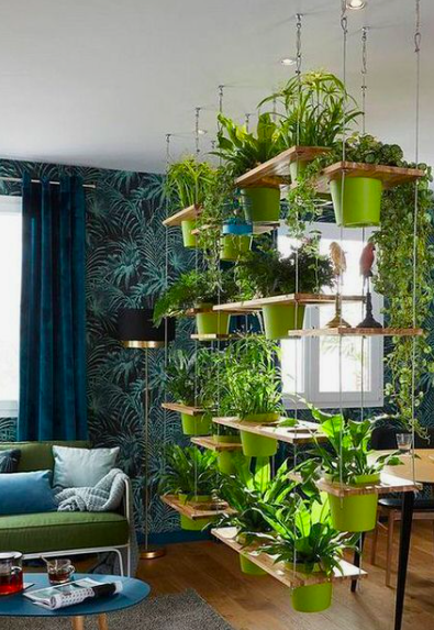 Urban Plant Home tweet media