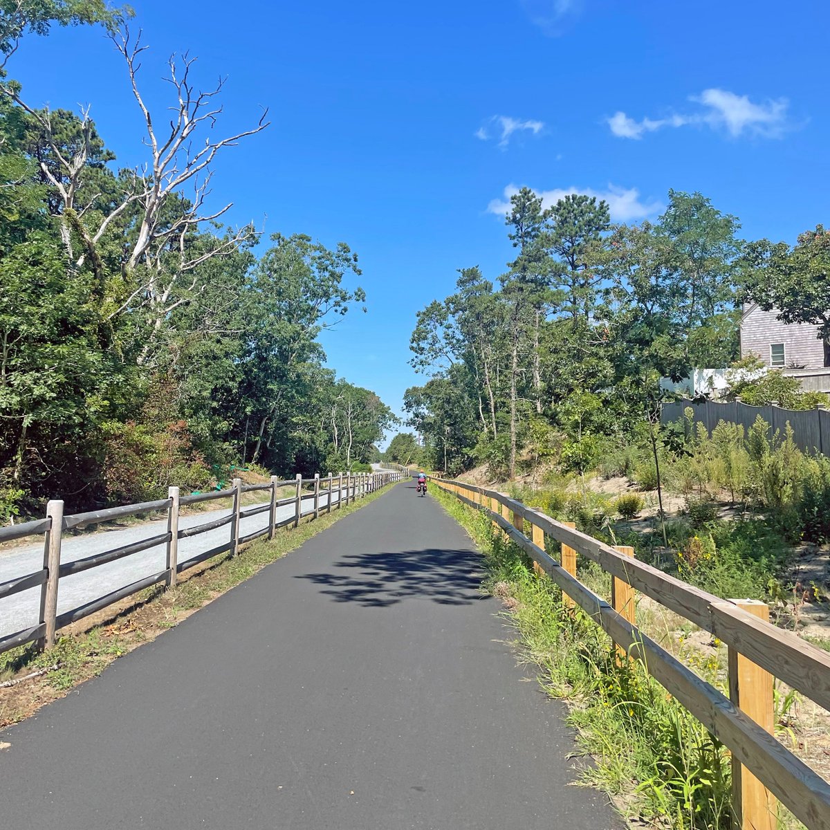 📍Cape Cod Rail Trail, Wellfleet, MA

The latest addition to the Cape Cod Rail Trail extends the scenic path north from the Lecount Hollow Road trailhead. Now 25 miles, the Cape Cod Rail Trail links six charming coastal towns and two state parks with campgrounds. #TrailTuesday