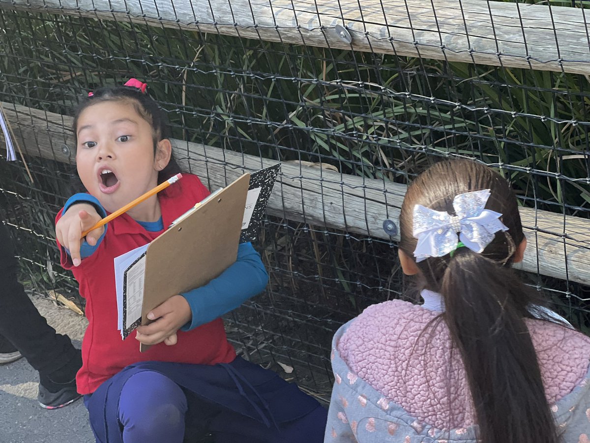 Jimmy Bruhl tweet media