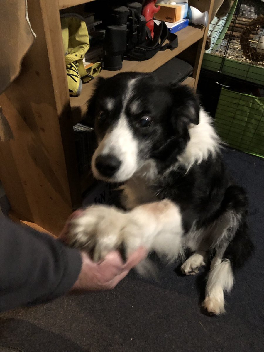 Gwen Lowe tweet media