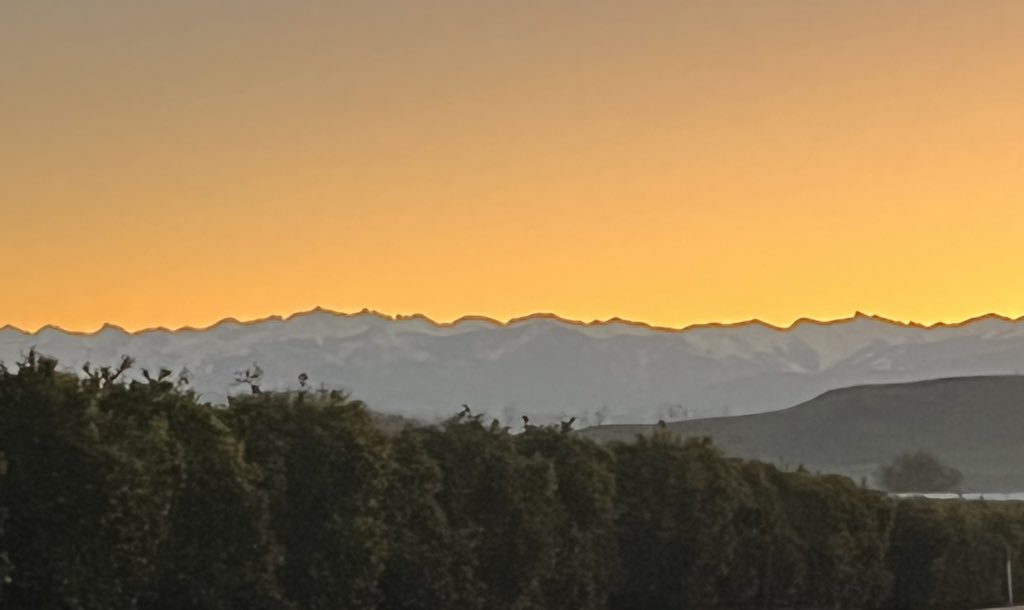 This morning was gorgeous. #SierraNevada #sequoianationalpark  #mineralking #buycutiesnothalos