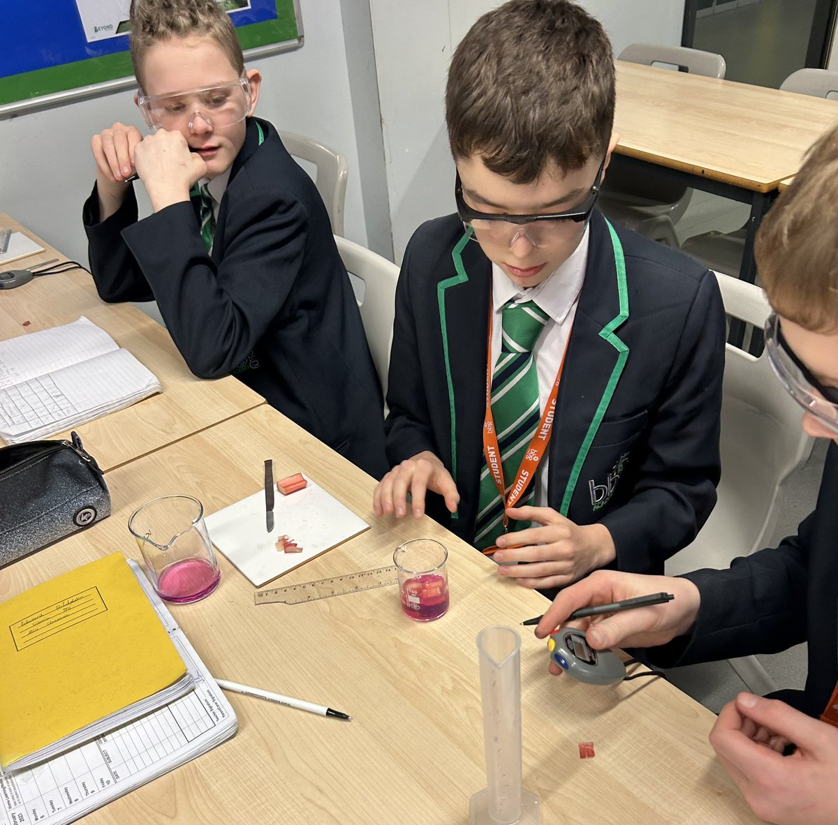 BBG Academy On Twitter RT BBG Science Year 9 Using Rhubarb To bbg-academy-on-twitter-rt-bbg-science-year-9-using-rhubarb-to