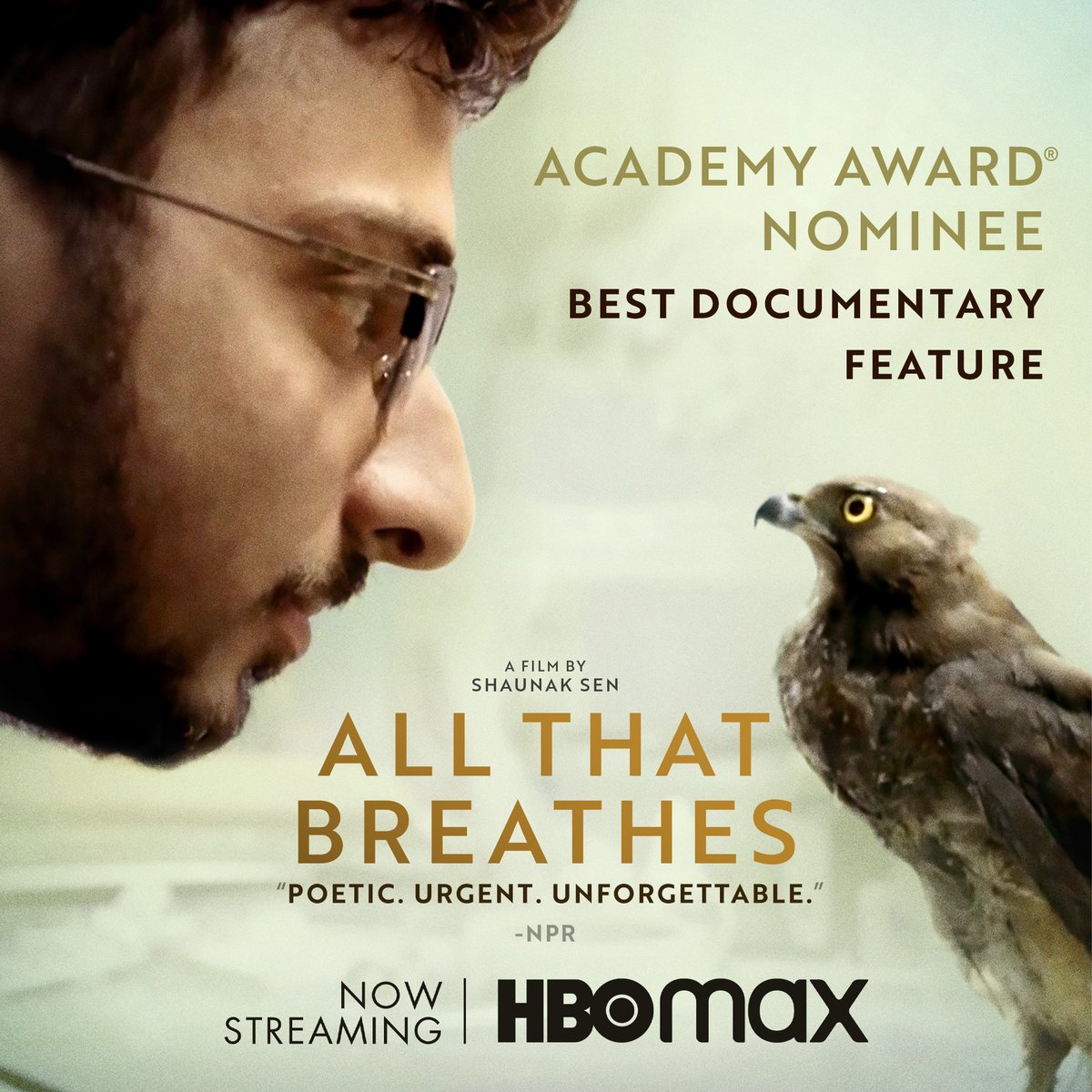 #AllThatBreathes is incredible. A must-watch. @allthatbreathes #shaunaksen @hbomax