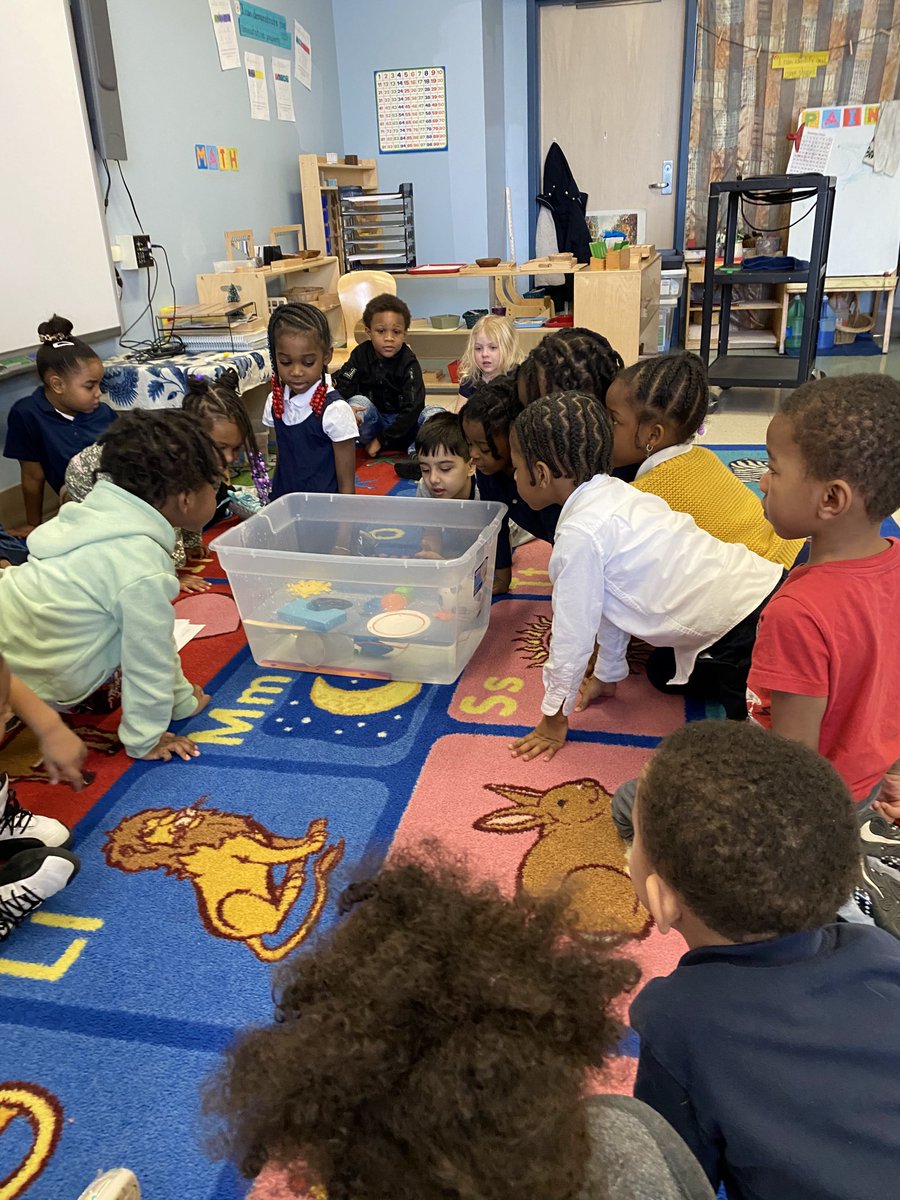 Oral language concepts (above/below) paired with science vocabulary (float/sink) as kindergarteners made, and evaluated, buoyancy predictions for each object. <a href="/RCSDNYS/">Rochester City School District</a> <a href="/drpeluso/">Dr. Carmine Peluso</a> <a href="/ruthturner168/">Ruth B Turner</a> <a href="/shanieleads/">shanieleads</a> <a href="/RcsdScience/">RCSDScienceDepartment</a> <a href="/RcsdSpeech/">RCSD Speech/Language Department</a> <a href="/AlkiewiczAmy/">Amy Alkiewicz</a> <a href="/HollyPlaceSLP/">Holly Place</a> <a href="/white_lajuan/">LaJuan White</a>
