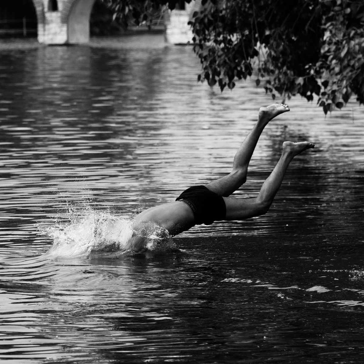 brainwashed;
diving in the lake.

#dive #blackandwhitephotography #mananchrome #abstract #photography #travel #spicollective #streetphotography