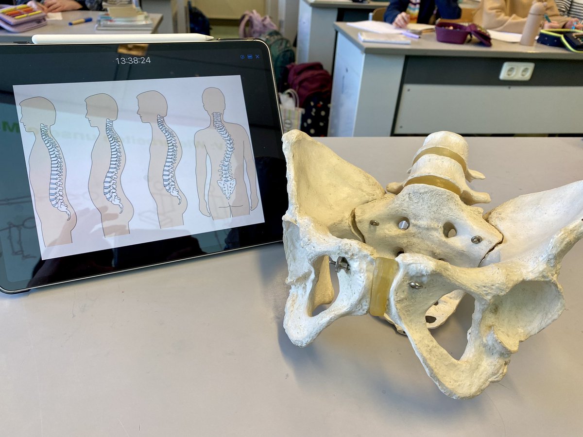 Kollegin heute: für dich wurde eine Hüfte im Lehrerzimmer abgegeben. 🤨 Erkenntnis der Detektivarbeit: 5. Klässlerin hat ein Beckenmodell für die Biostunde mitgebracht. 🥰  #twlz #BayernEdu