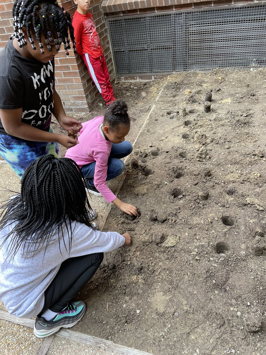 MrsBradleyLES's tweet photo. Today we put our civic dispositions into action to make an impact and change on the national issue of pollution! We’ve cleaned up litter, made posters to hang around the school, and planted daffodils in our courtyard! ♻️🗑️🌷 #IBLearnersForLife #LitterQuitters @lexingtonelemsc https://t.co/zXpj3BTOvT