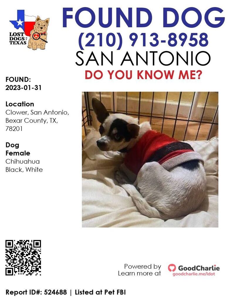 Lost Dogs of Texas (@LostDogTX) / Twitter Lost Dogs of Texas (@LostDogTX) / Twitter