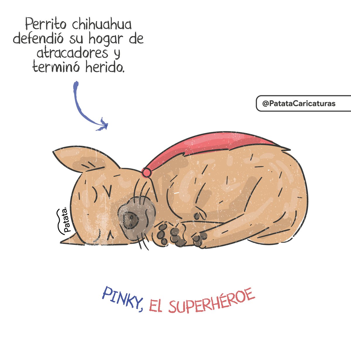 PATATAdibujo's tweet photo. Pinky 🦮❤️‍🩹
🧵 https://t.co/WsWFAPguDF