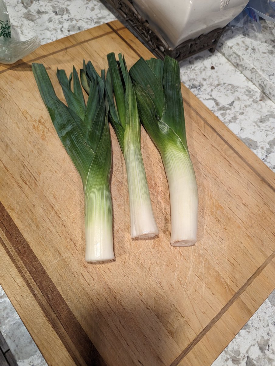 G: The Garden Dad tweet media