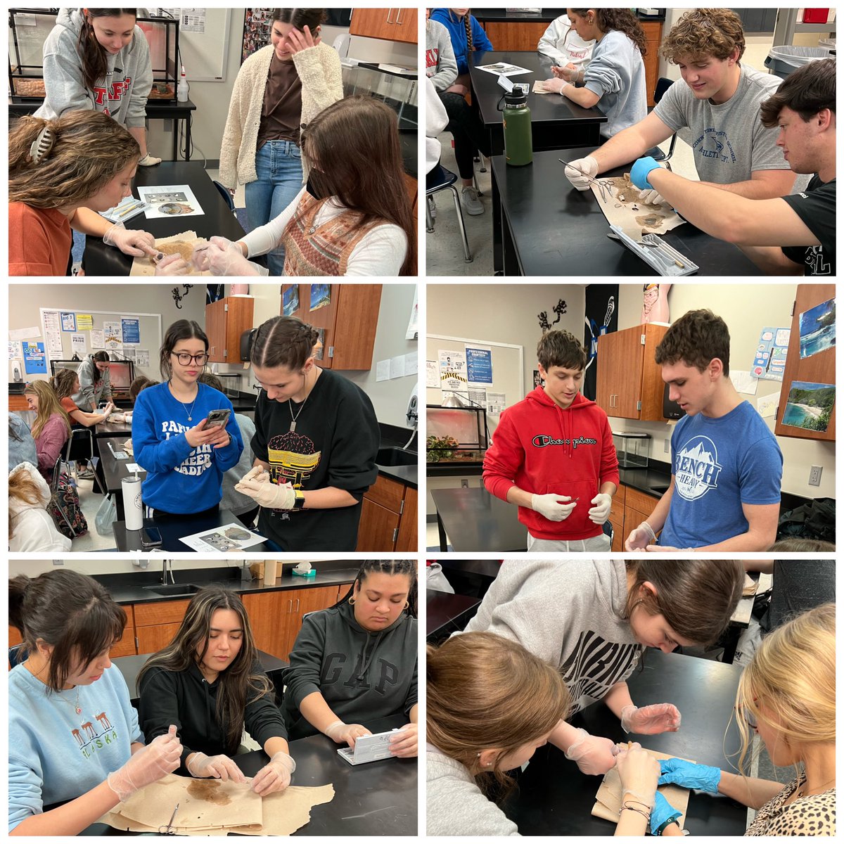 PLSAnatomy's tweet photo. 👁️ ❤️ science! https://t.co/vf5dReKv9S