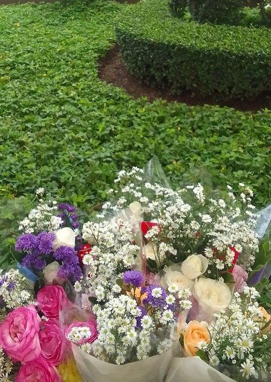 cakep amat bunganya kek yg liat