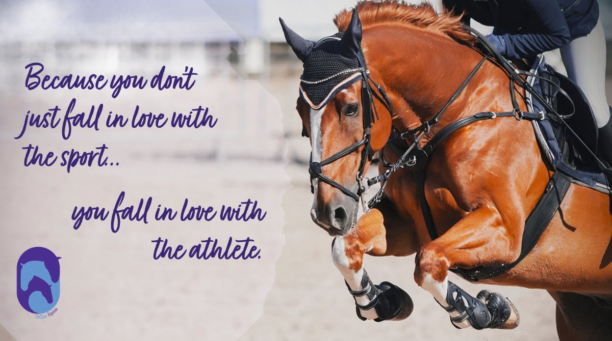 Be their voice. 💜 
#equine #equinehealth #sporthorse