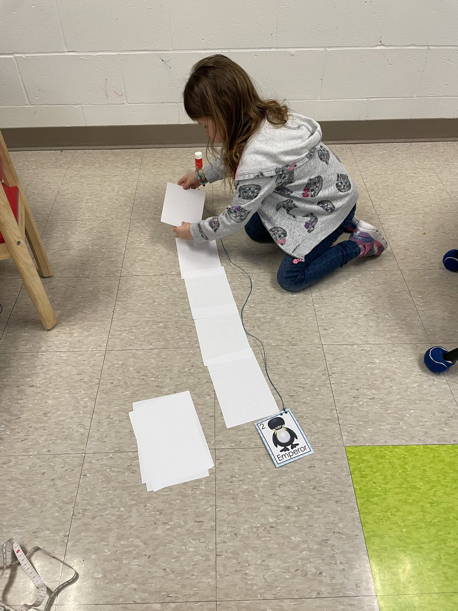 MrsBeg24's tweet photo. This 🦊 used her creativity and critical thinking skills today. She measured, drew, and compared the lengths of different types of penguins. “I’m almost as tall as an emperor penguin!” @StPhilipOCSB #ocsbMath #ocsbKindergarten https://t.co/KIQy0QdMYu
