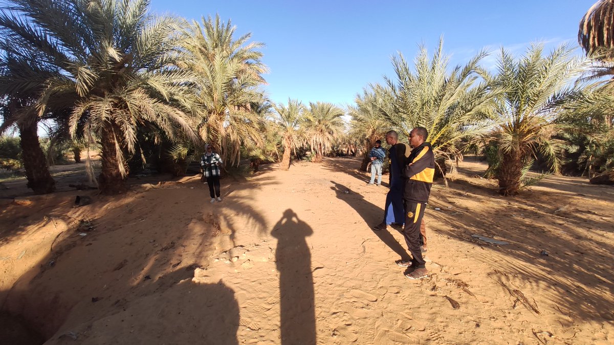 OmarAhmedLY's tweet photo. من الشمال الي ابعد نقاط الجنوب في معمورتنا تسعى @TatweerResearch لدعم الاقتصاد
فخور بي انتمائى لهذه العائلة
رحلة سريعة لي ربيانة
@IbrahimAlfallah
#AgriTch
#حاضنة_تطوير_للاعمال_الزراعية https://t.co/TH9REYiBUY