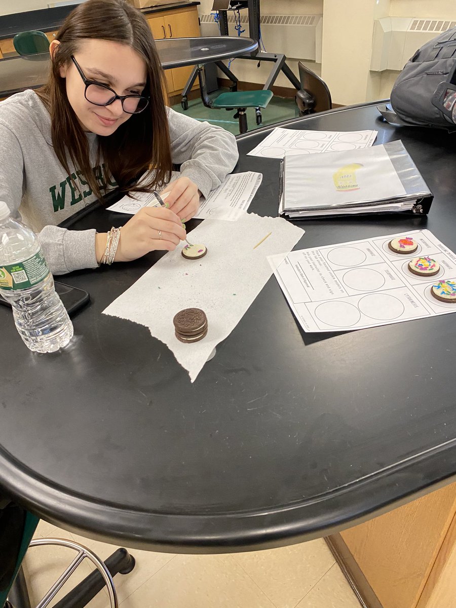Mr_Fauci's tweet photo. Using Oreos and sprinkles to model the phases of mitosis #WeArePlainedge https://t.co/0LpcHIRTwo