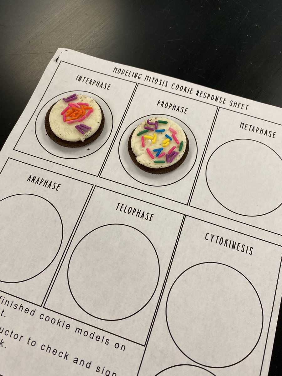 Mr_Fauci's tweet photo. Using Oreos and sprinkles to model the phases of mitosis #WeArePlainedge https://t.co/0LpcHIRTwo