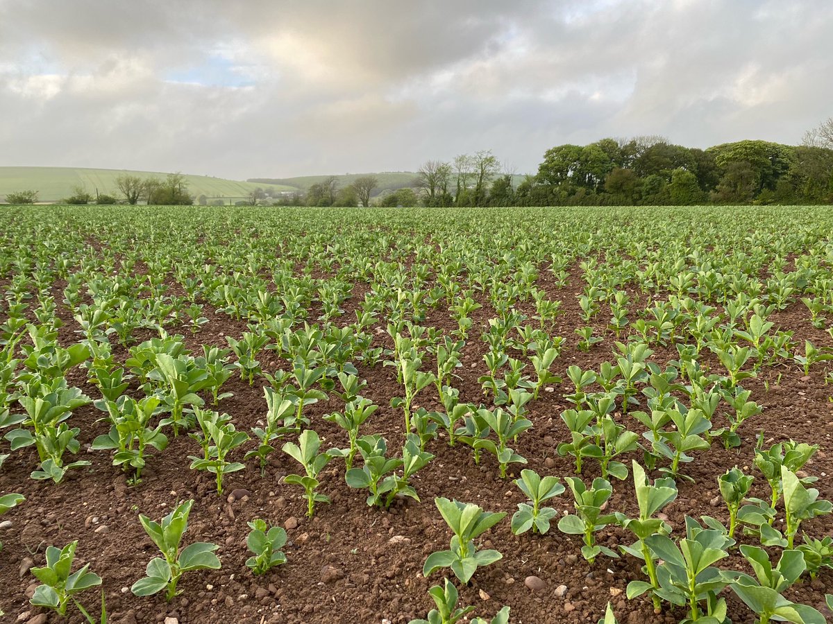 John Dunne tweet media