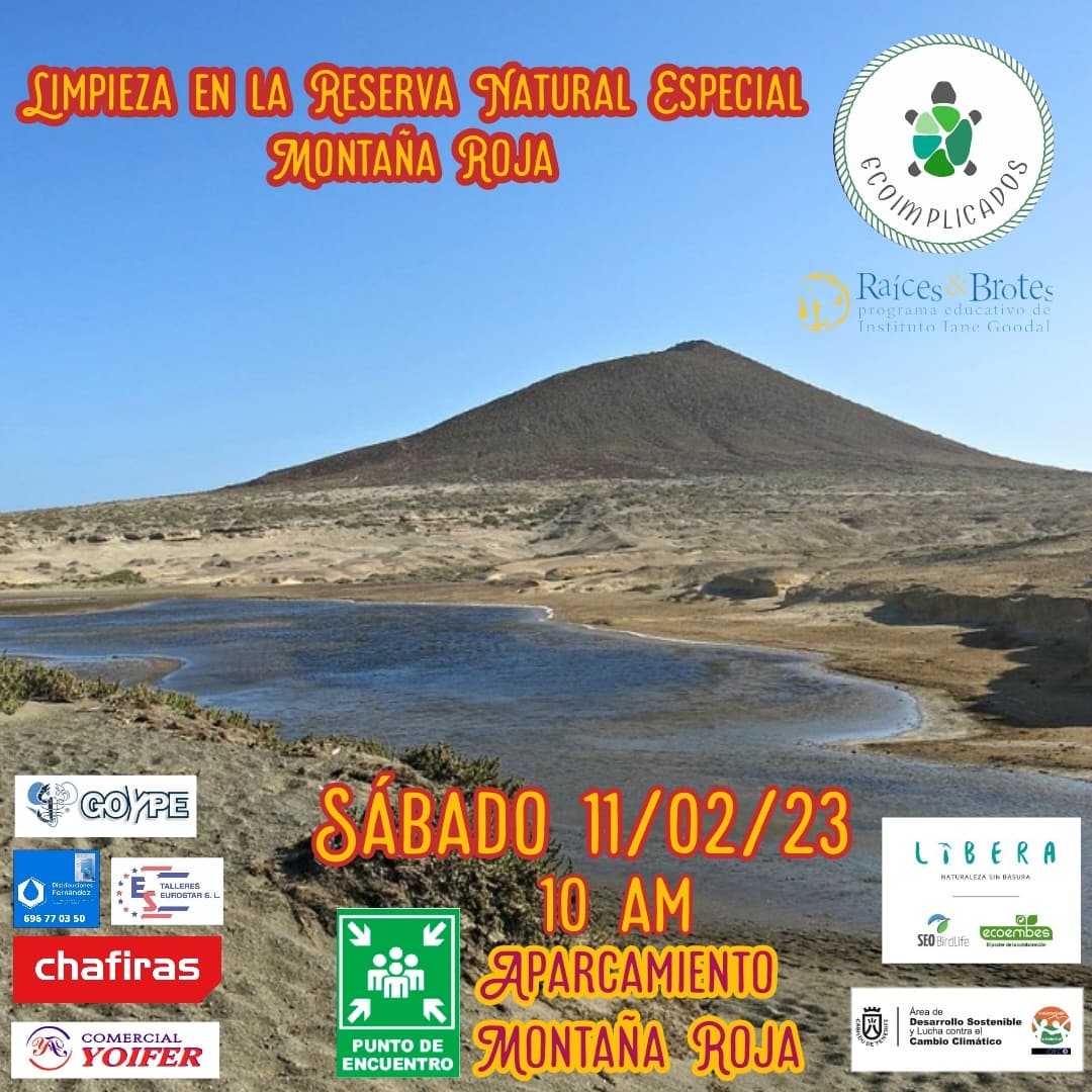 Volvemos al Médano.