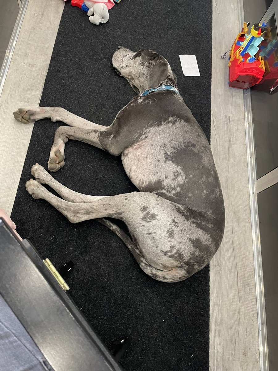 Thrilled it’s race day, can’t ya tell?