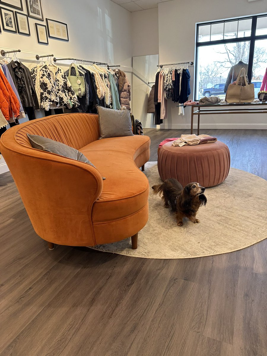 Brandon Perry tweet media