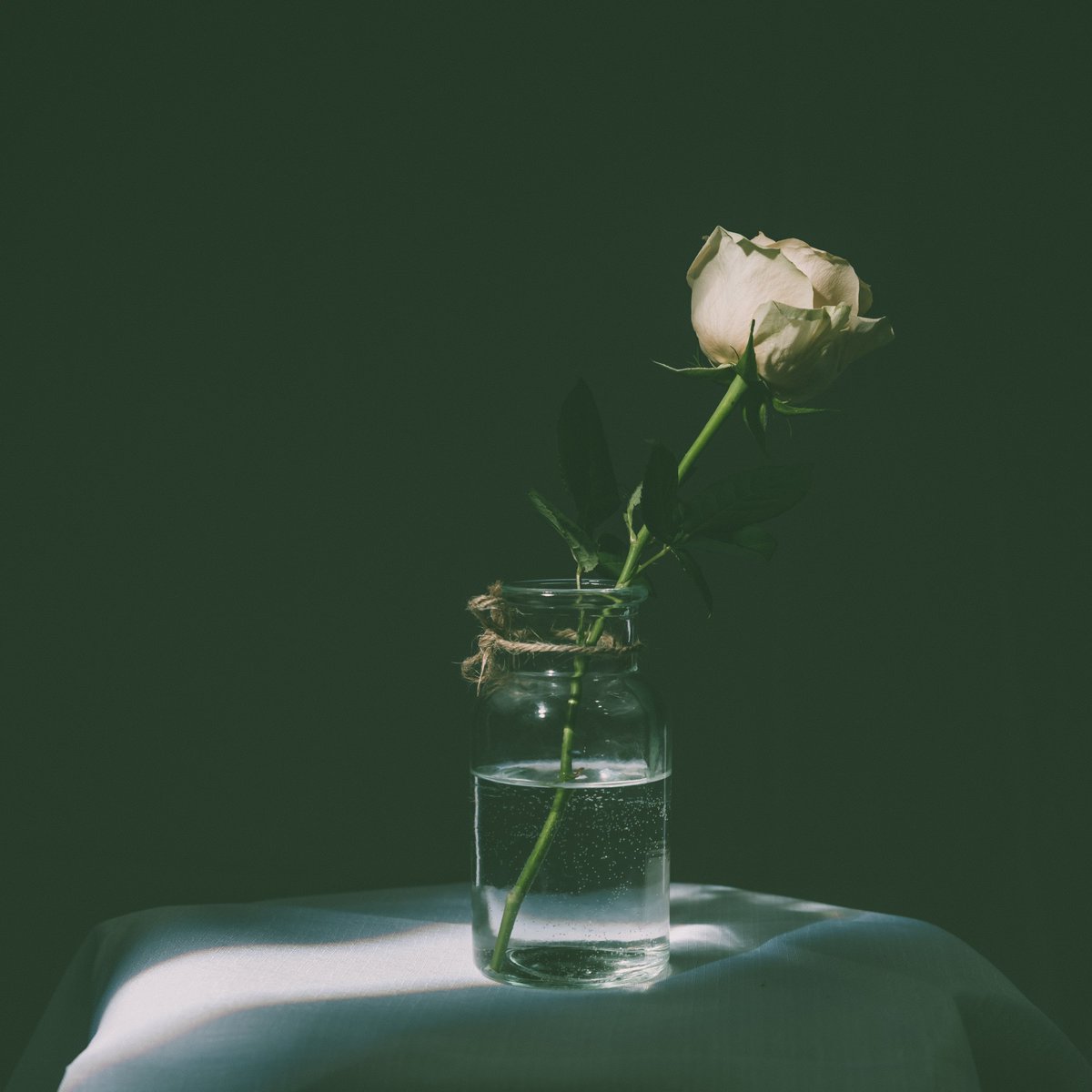 Pav_Visuals's tweet image. To shed tears is to nurture one's spirit, much as if one were to harvest flowers from their sadness. Locate the source of your own illumination and use it to mend your broken heart. 

#StillLife #photography #expressionism #stilllifephotography #contemporaryphotography