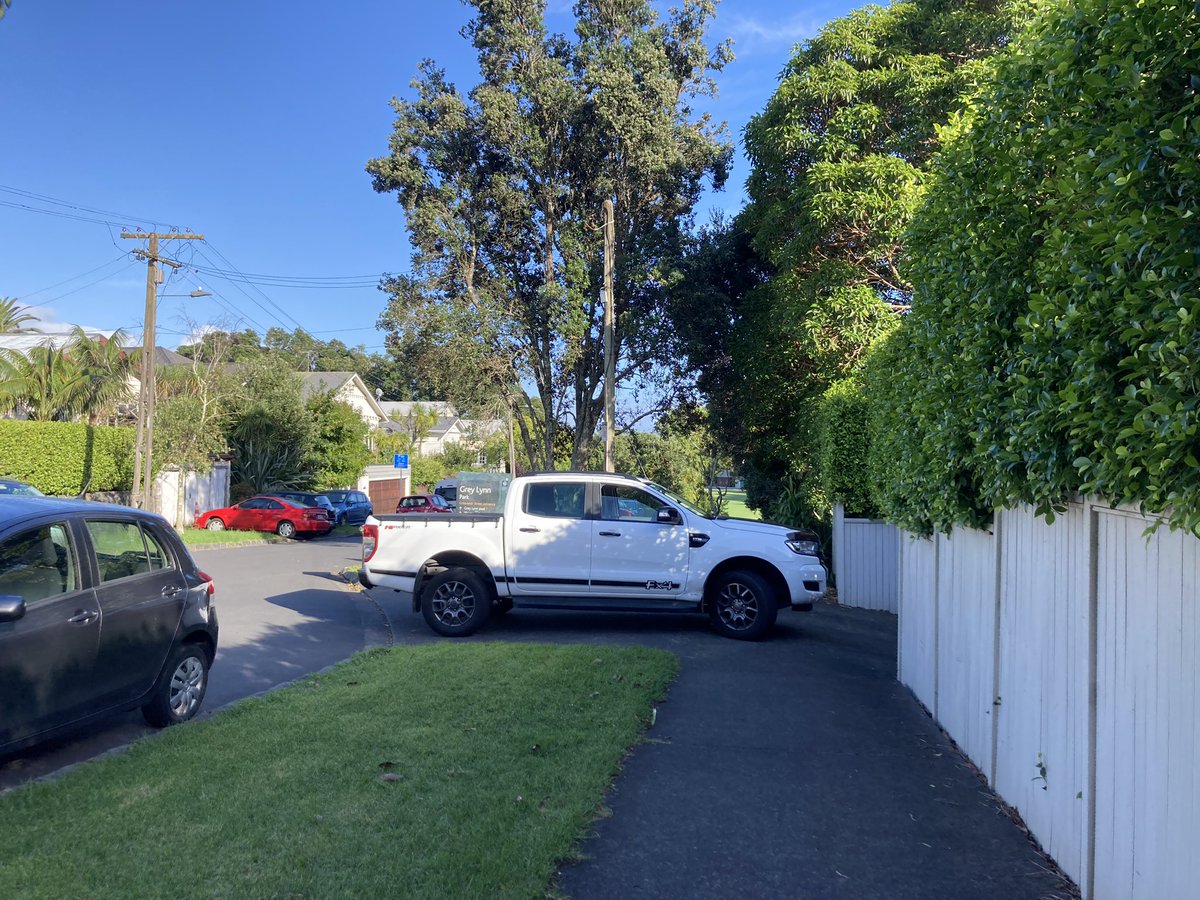 Ah, Grey Lynn 🤦🏻‍♀️