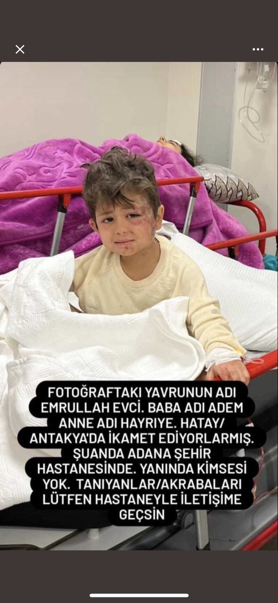 elifcesi tweet media