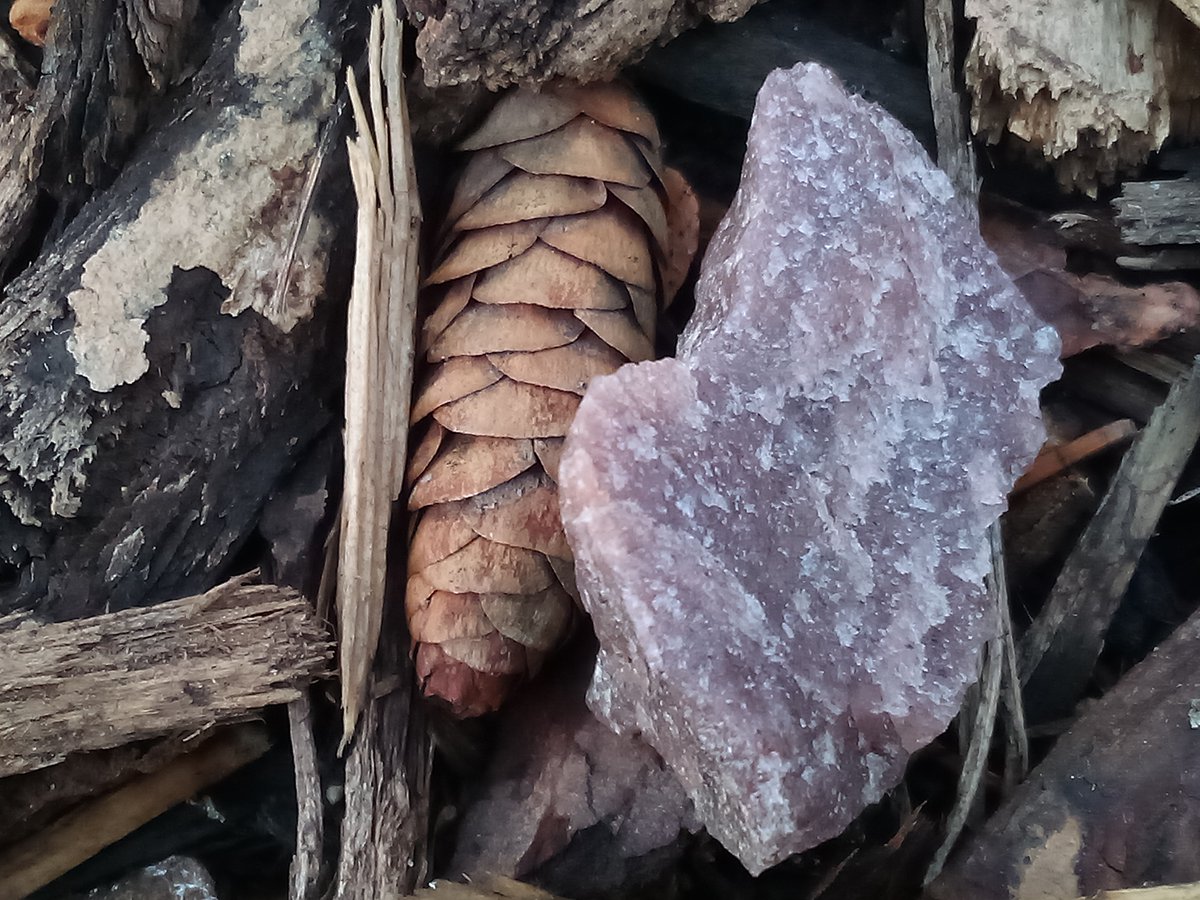 jacob riyeff tweet media