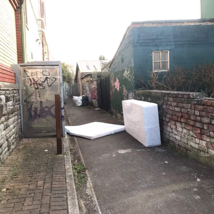 DivanGang's tweet photo. Alley Cat
#mattress #KayBurley https://t.co/rWHTwMFwp7
