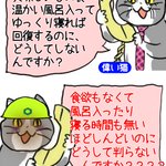 偉い猫にはわかってもらえない!本当にきついときの状況!