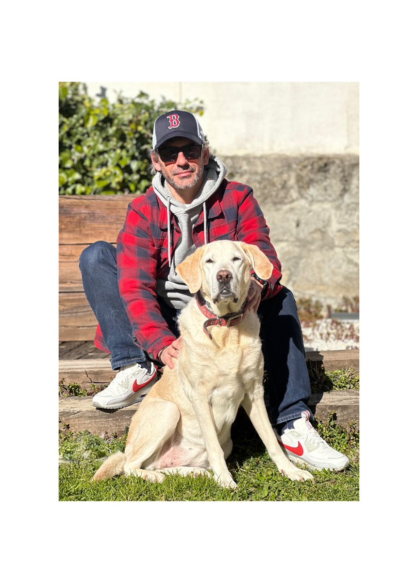 Alta fidelidad ⚡️⚡️⚡️