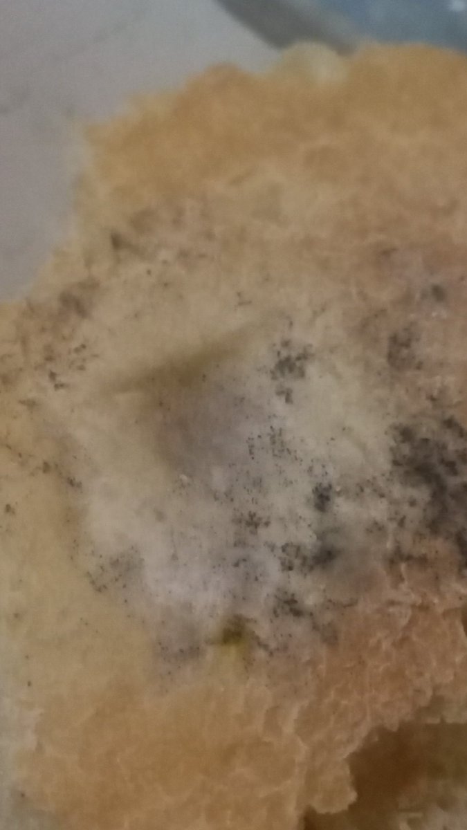 Quacker372's tweet image. estaba limpiando la mesa y veo que con el pan con el que desayune estaba vencido con razón le senti otro gusto😦