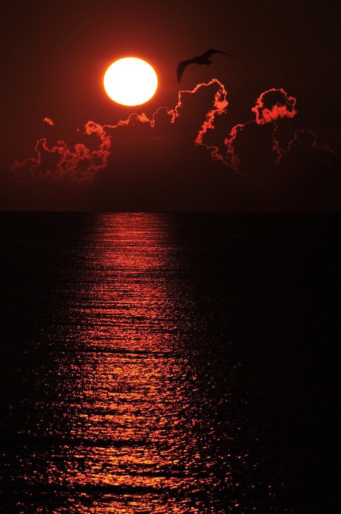 That the sea is one of the most beautiful and magnificent sights in Nature.