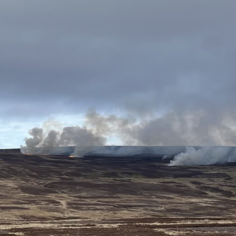 wildmoorsuk's tweet image. Reports of grouse moors burning on peatlands across North and West Yorkshire and the Peak District today.

We will continue to press @DefraGovUK to enforce the rules prohibiting burning on deep peat and introduce a complete ban to end the practice.