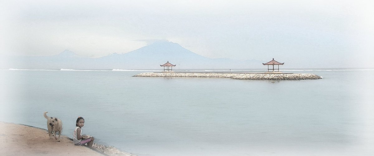 sue cotton tweet media