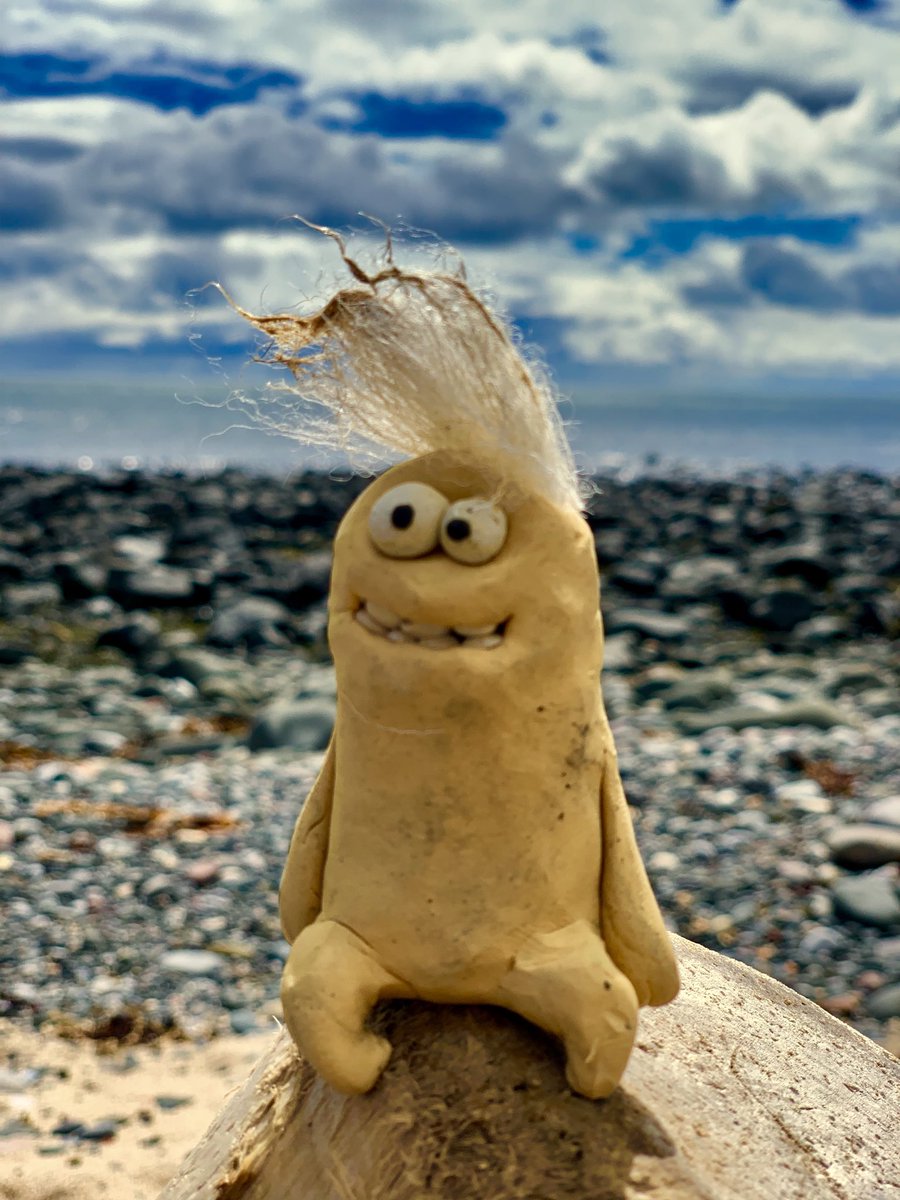 RichWebber1's tweet image. Coast life #combover #waaber