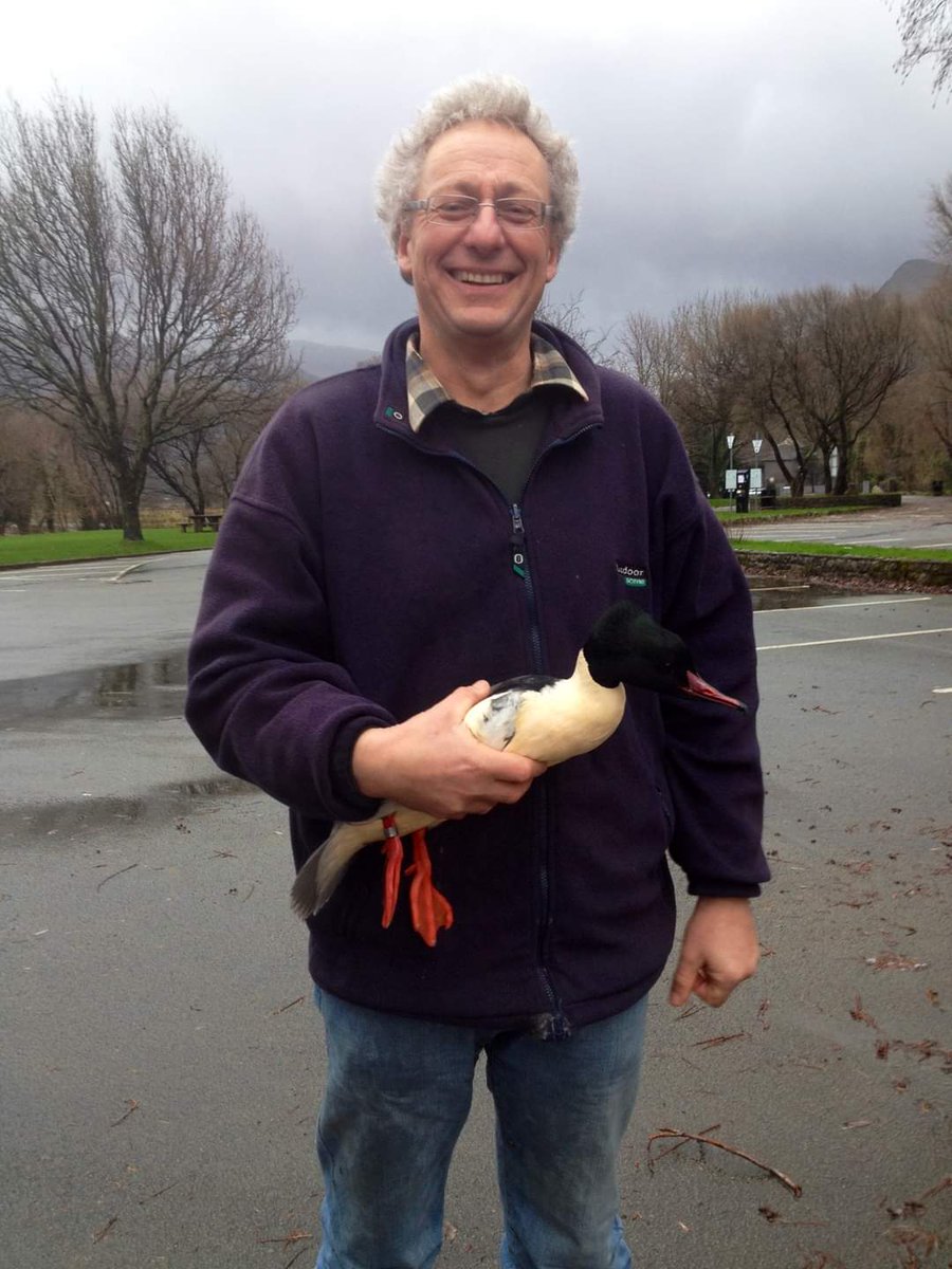 Bangor Bird Group tweet media