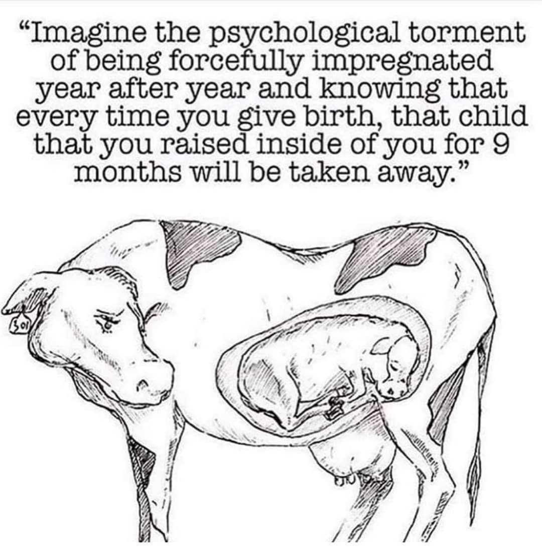 Imagine 😪

#Februdairy 🐄