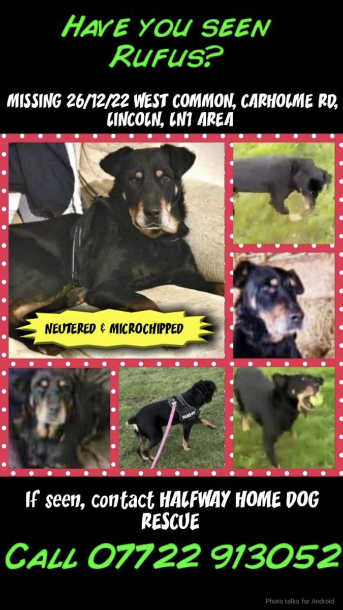 rosiedoc666's tweet photo. #findRufus
THIS BIG SOFTY WAS LOST WHILE IN FOSTER FOR ONLY A FEW DAYS
⛔️DOES ANY1 IN AREA #WestCommon #Lincoln #LN1 have any footage with a #Rottweiler roaming/getting picked up/passed onto some1? 22/12/22 onwards PLS?
#CCTV #Dashcam #Ringdoorbell
AROUND CARHOLME ROAD AREA https://t.co/lFkrjglYTR